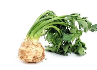Seler Korzeń Ok. 500g