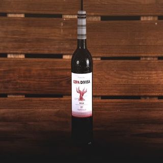 Vino tinto rioja (750 Ml.)