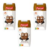 Batido Chocolate Pascual 200 Ml