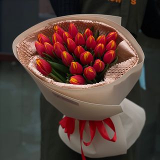 25 Тюльпанів преміум van der most 