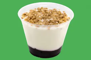 YOGUR ARANDANOS