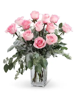 12 Rose rosa 