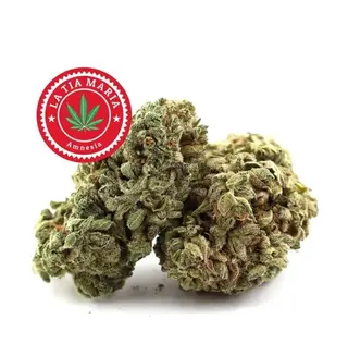 Amnesia CBD 1Gr