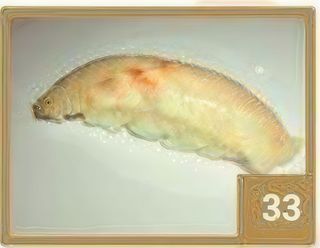 33 Nigiri branzino