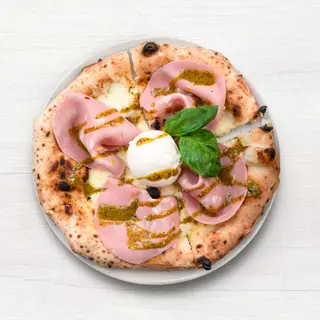 Bologna 