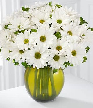 Grande mazzo di margherite bianche