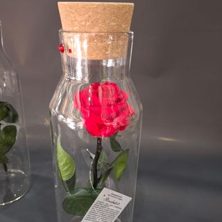 rosa stabilizzata in bottiglia di vetro
