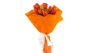 Buket od 11 narandžastih lala
