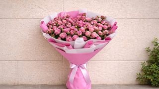 Spray roses