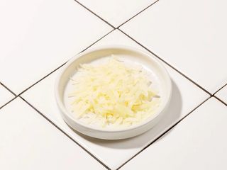 Parmesan