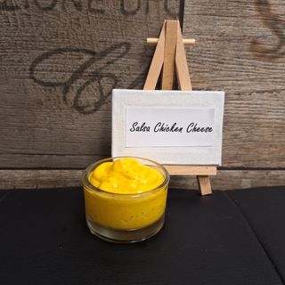 Salsa chicken cheese