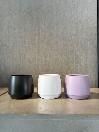 Test Ceràmica Orquidea