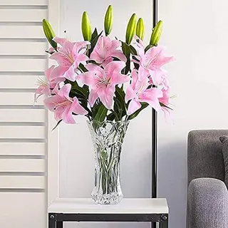 Lilium rosa