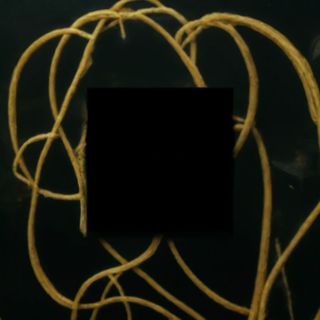 Пица спек (350г)