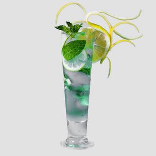 Mojito Mint