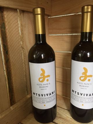 კოტე პაპას მარანი მცვივანი  ქარვისფერი მშრალი