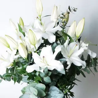 RAMO LILIUM BLANCO