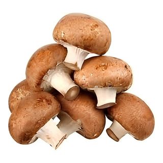 Грибы шампиньоны