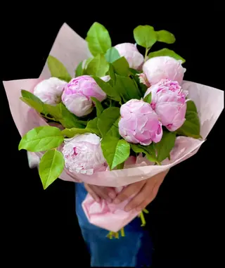 Bujori Roz 