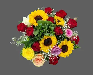 Rose e colori 