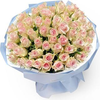 51 троянда Pink Athena 