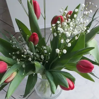 Buchet : 