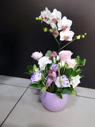 Aranjament Orhidee Phalaenopsis In Vas Ceramic