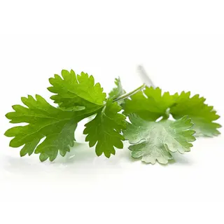 Cilantro Fresco Manojo (1 Ud.)
