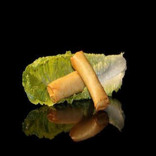 147 Involtini primavera