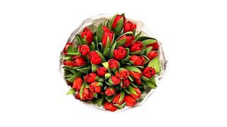 Buket tulipana