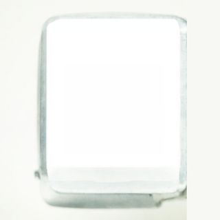 99. Калмари със зеленчуци върху метална плоча (600г)