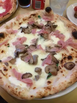 Funghi