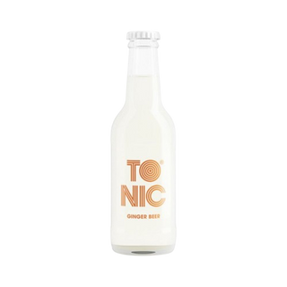 TO NIC GINGER BEER 0,2l
