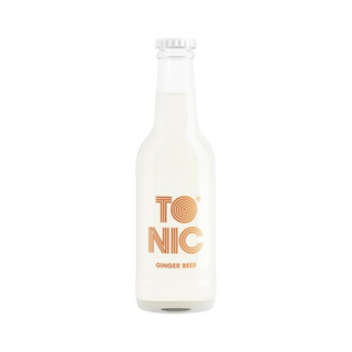 TO NIC GINGER BEER 0,2l