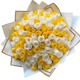 Yellow + White -Standing