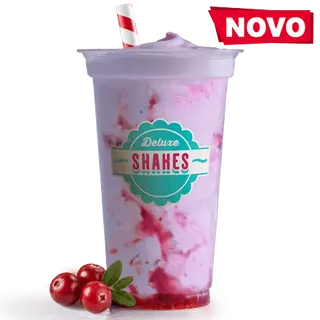 Shake od brusnice 500 ml