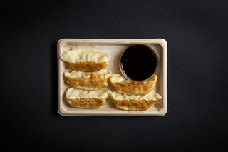 GYOZA VEGETAL