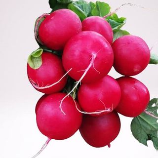 Rzodkiewki 1 pęczek