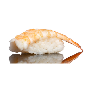 Shrimp nigiri