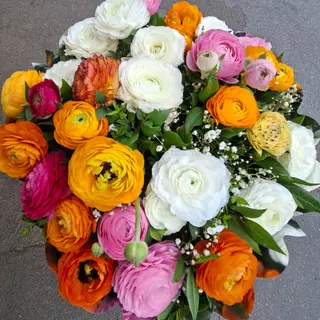 Bouquet. ranucoli