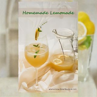 Боровинконада с домашен сок от боровинки, лимонов сок и вода