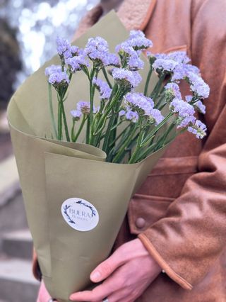 სტატიცები 