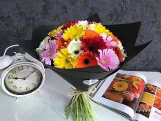 35 Gerbere multicolore în hârtie neagră