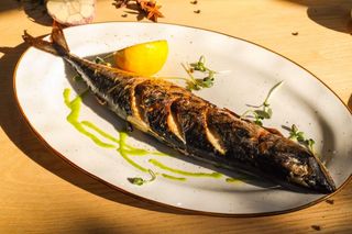 Скумбрия на гриле