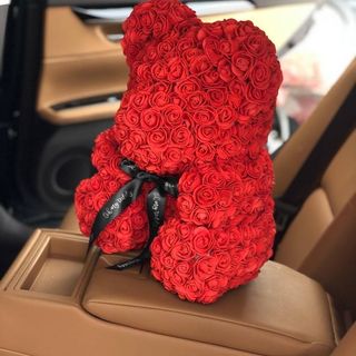 Czerwony niedźwiedź