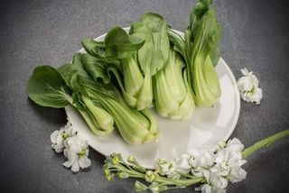 S45 Cavolo cinese verde saltato