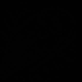 Uramaki tiger venere