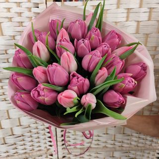 Bukiet różowych tulipanów