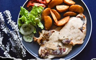 Piletina suho meso u vrhnju