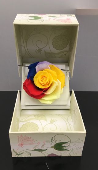 Rosa eterna premium color arcoíris